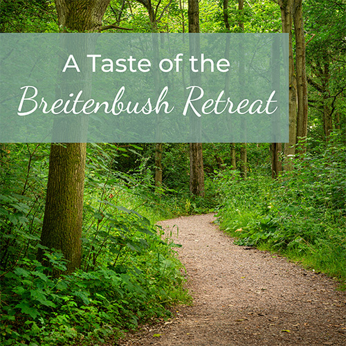 Forest Path with the text "A Taste of the Breitenbush Retreat"
